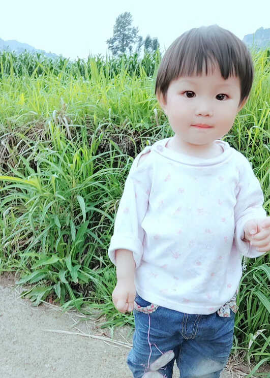模特-
