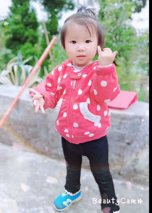模特-