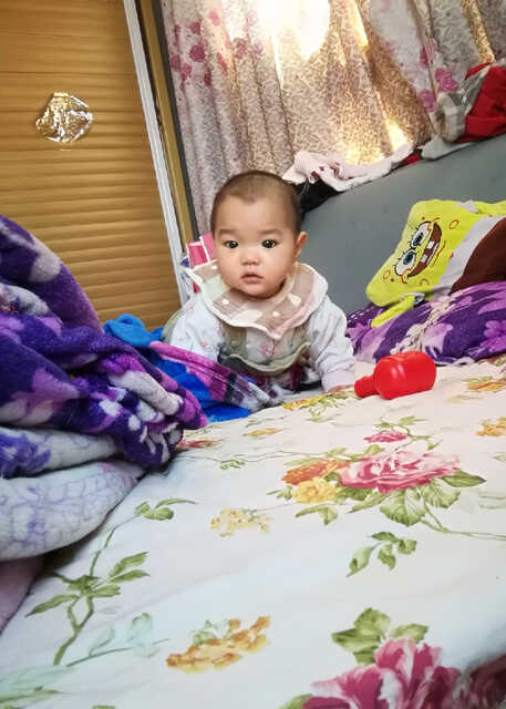 模特-