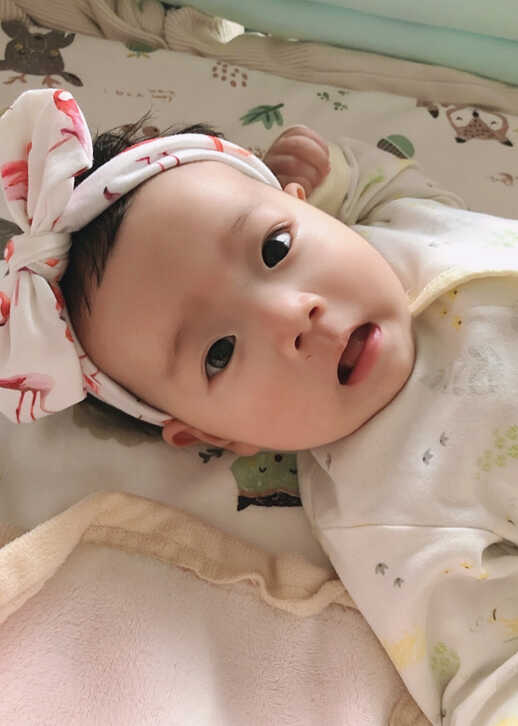 模特-
