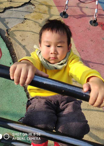模特-