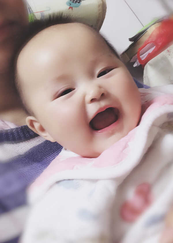 模特-