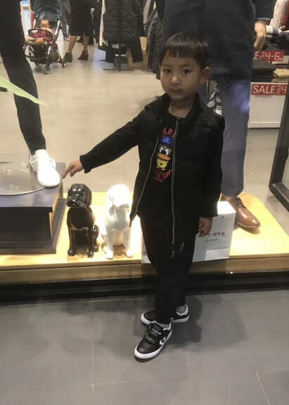 模特-