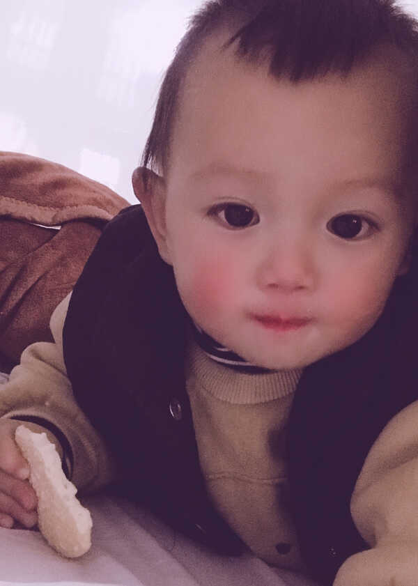 模特-