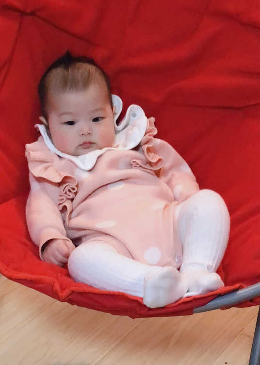 模特-