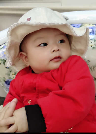 模特-