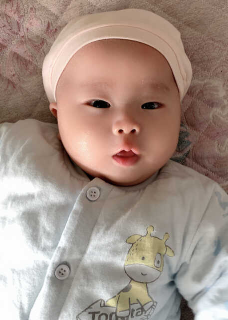 模特-