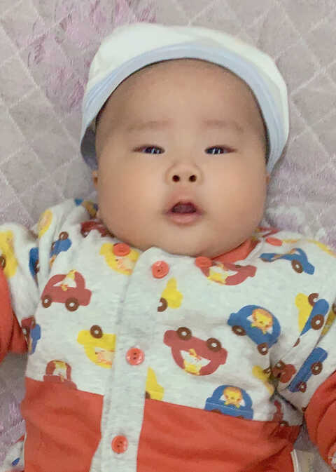 模特-