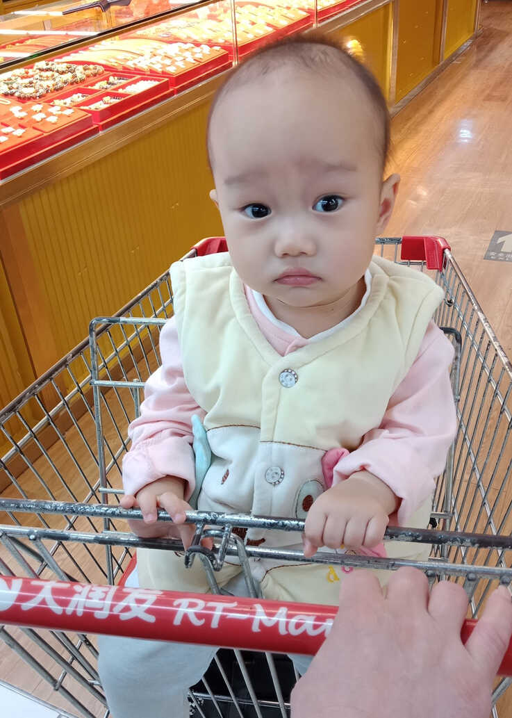 模特-