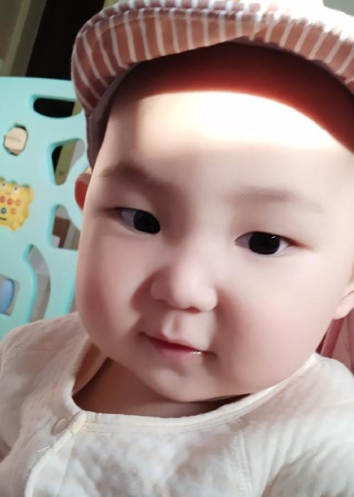 模特-