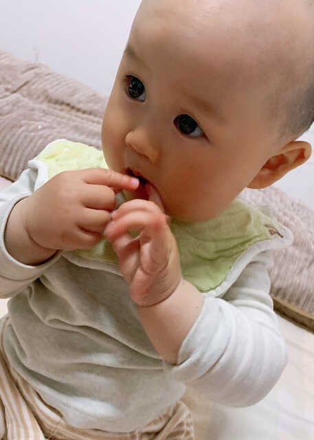 模特-