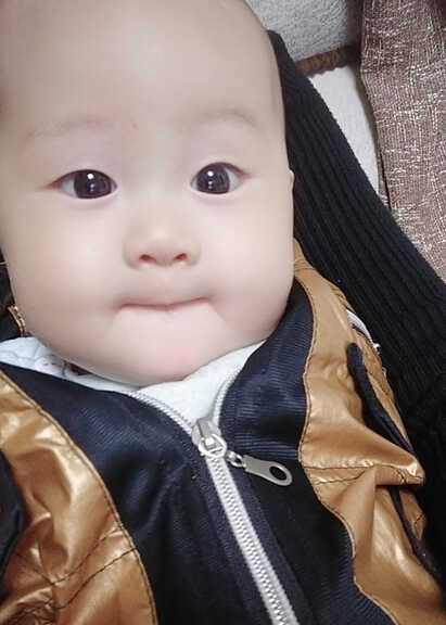 模特-