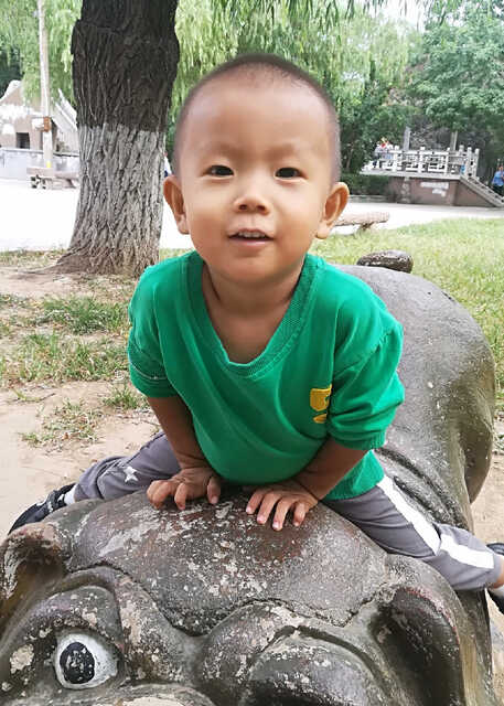 模特-