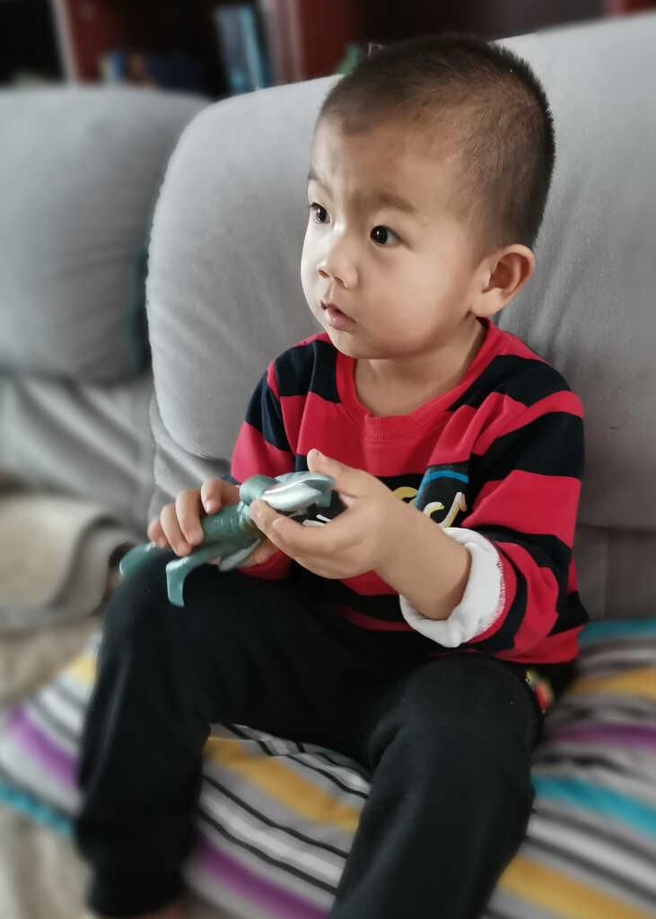 模特-