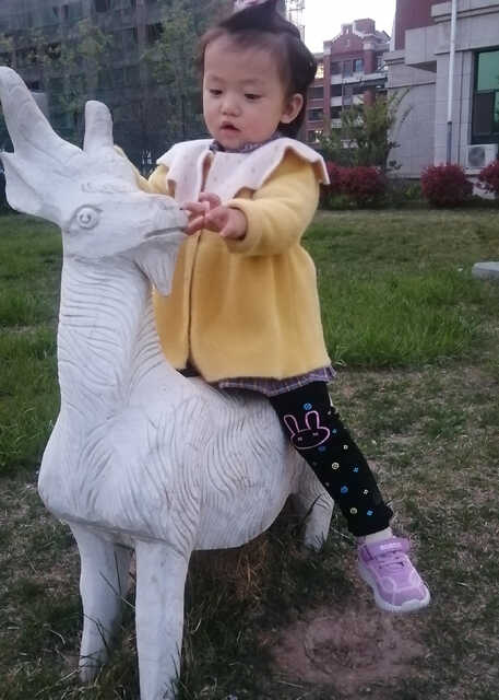模特-