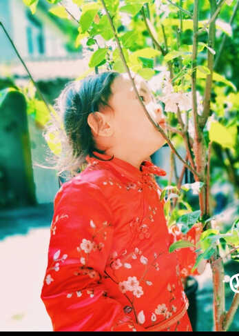 模特-