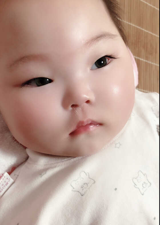 模特-