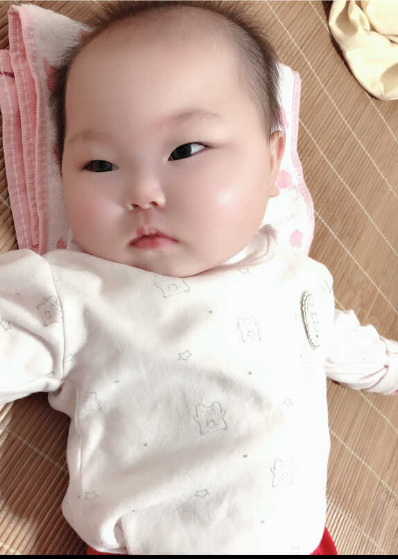 模特-
