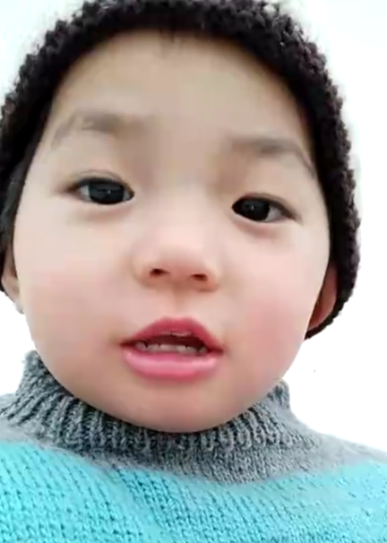 模特-