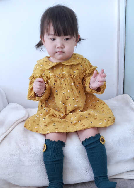 模特-
