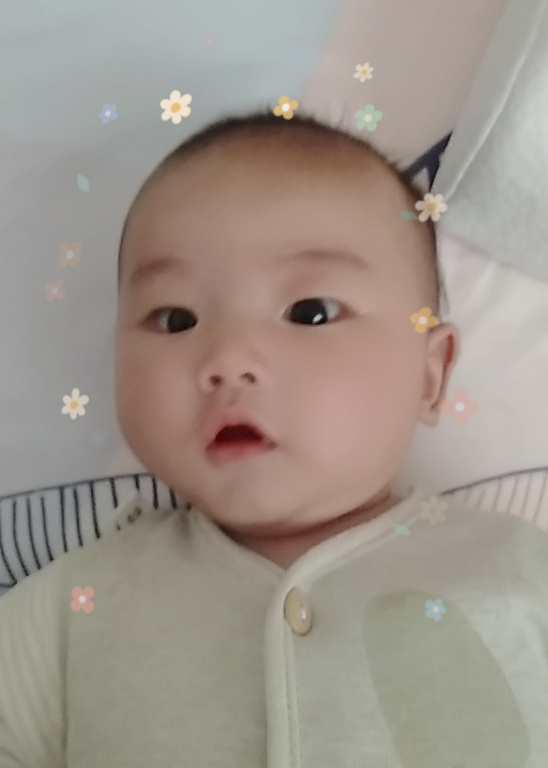 模特-