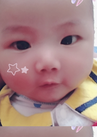 模特-