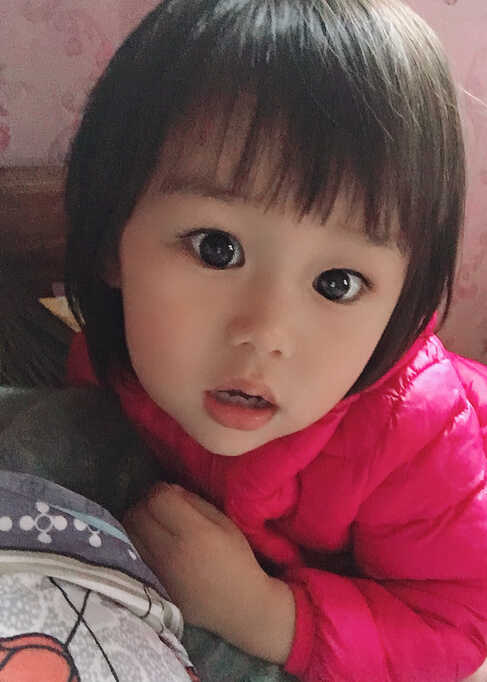 模特-