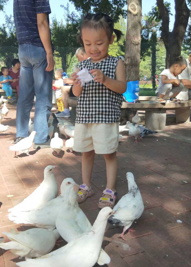模特-