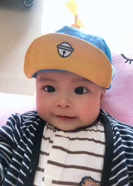 模特-