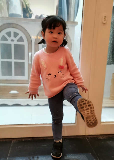 模特-
