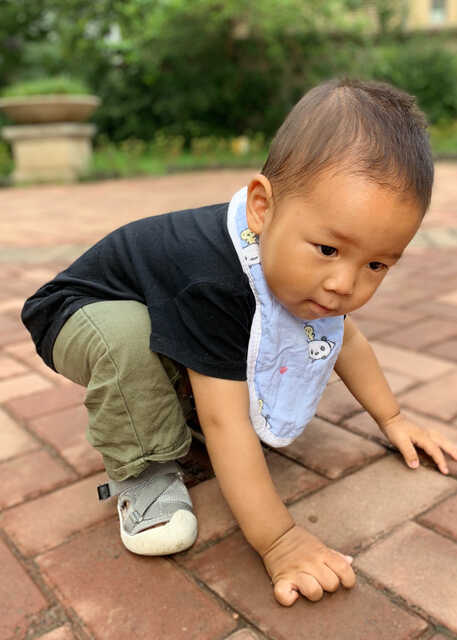 模特-