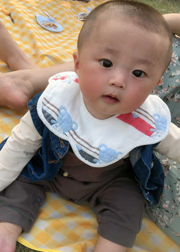 模特-