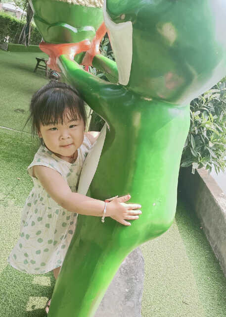 模特-