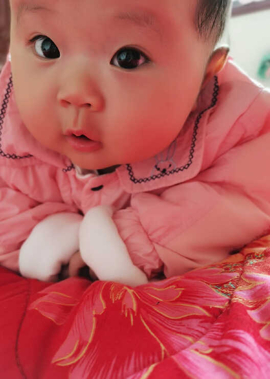 模特-