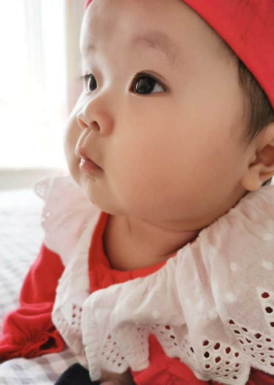 模特-