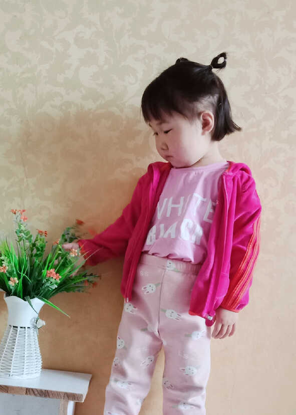 模特-