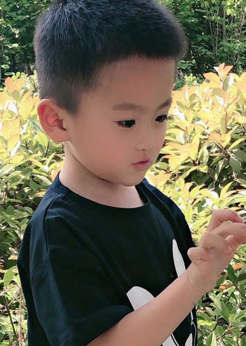 模特-