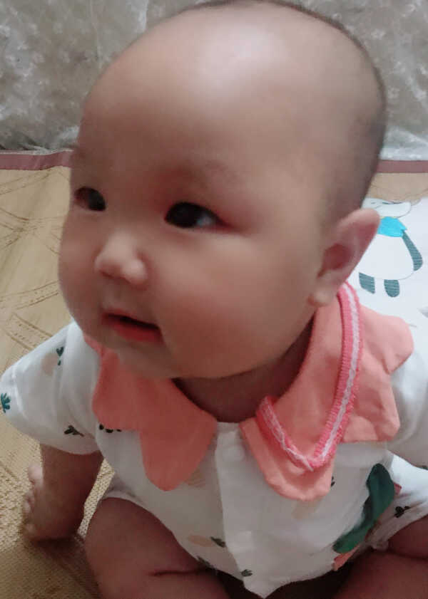 模特-