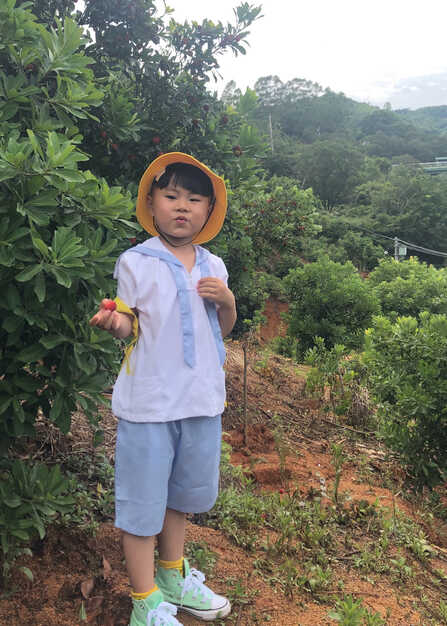 模特-