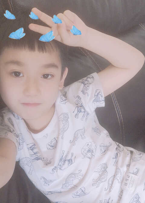 模特-