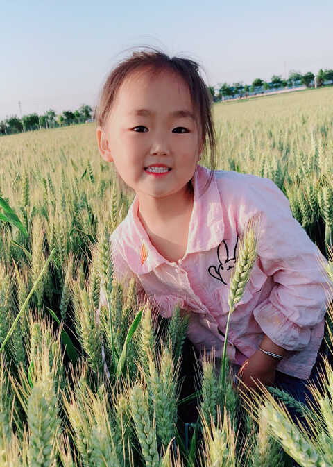 模特-