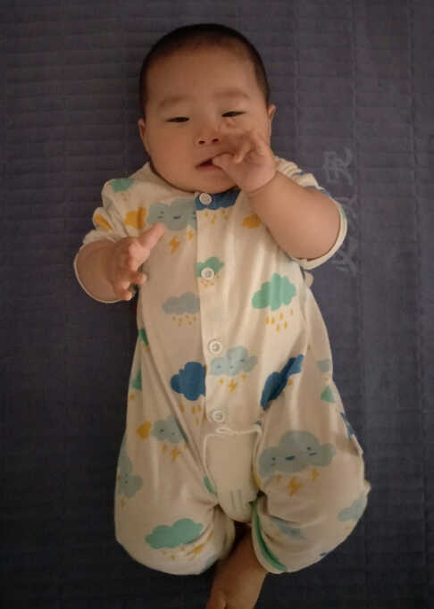 模特-