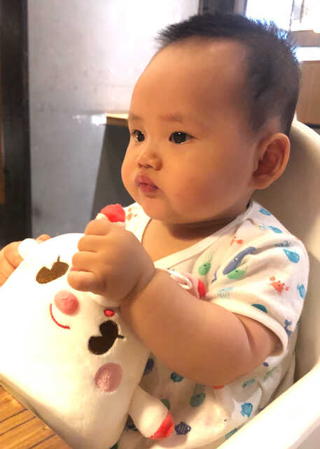 模特-