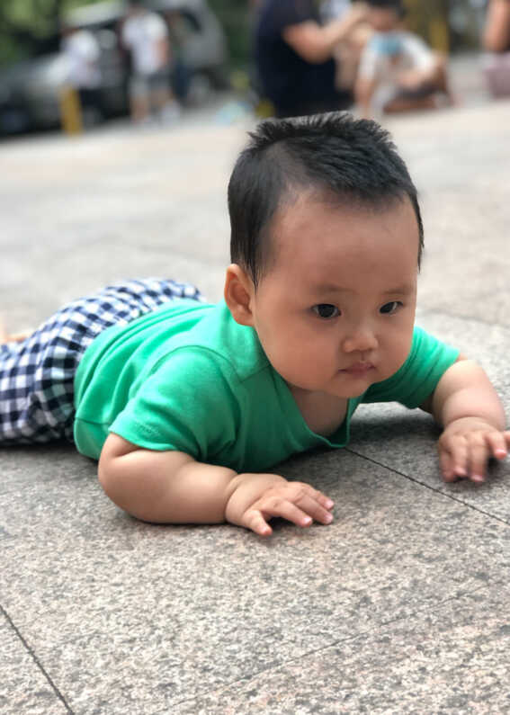 模特-