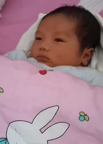 模特-