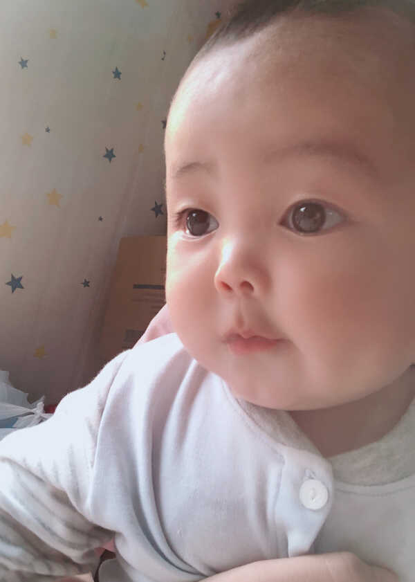 模特-
