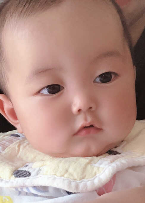 模特-