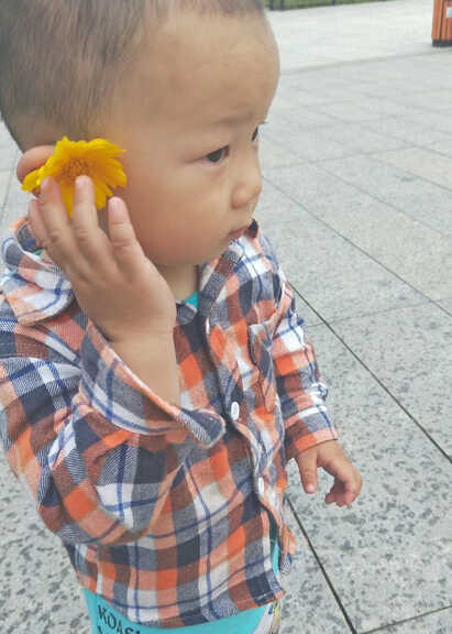 模特-