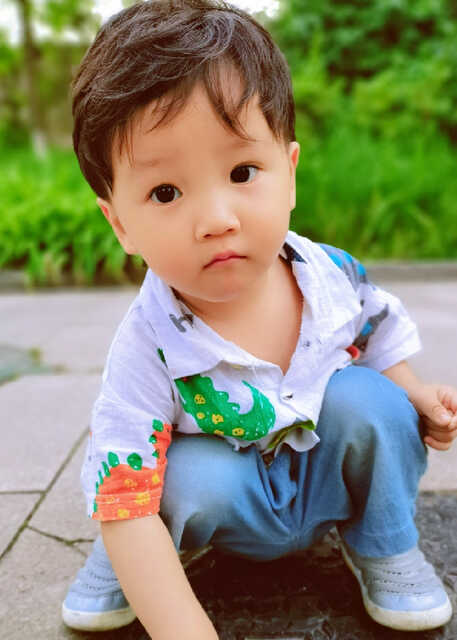 模特-