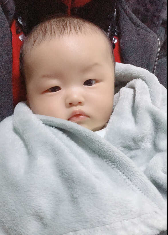 模特-
